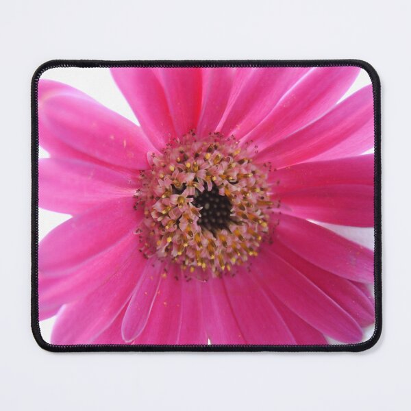 Item preview, Backlit Bright Pink Gerbera designed and sold by TavStone.