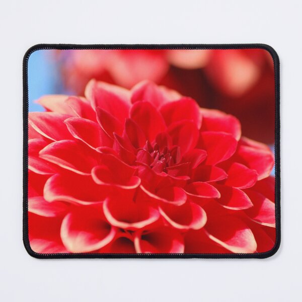 Item preview, Red Dahlia Celebrating Symmetry designed and sold by TavStone.
