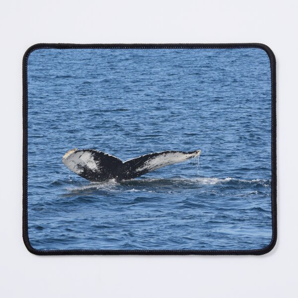 Item preview, Whale Tail designed and sold by KPhotographyNJ.