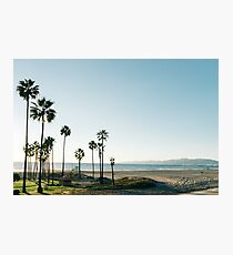 Southern California Palm Trees Photographic Print