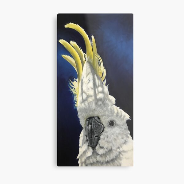 Sulphur Crested Close-up Metal Print