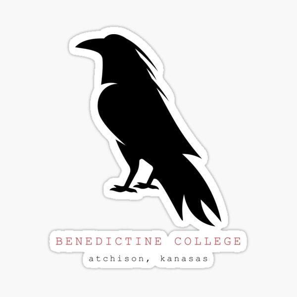 Kids Hydrapeak - Benedictine College Raven Store