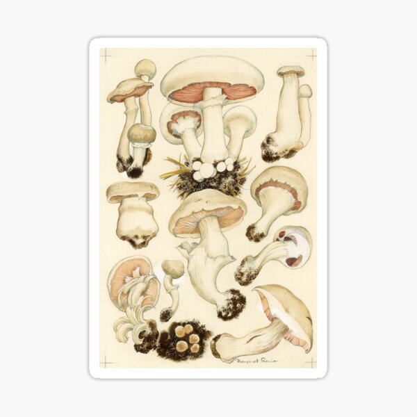 Item preview, Virus Diseases of Cultivated Mushrooms designed and sold by BiosecurityColl.