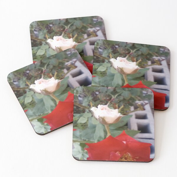 Item preview, Soft white rose designed and sold by DivineTiffany.