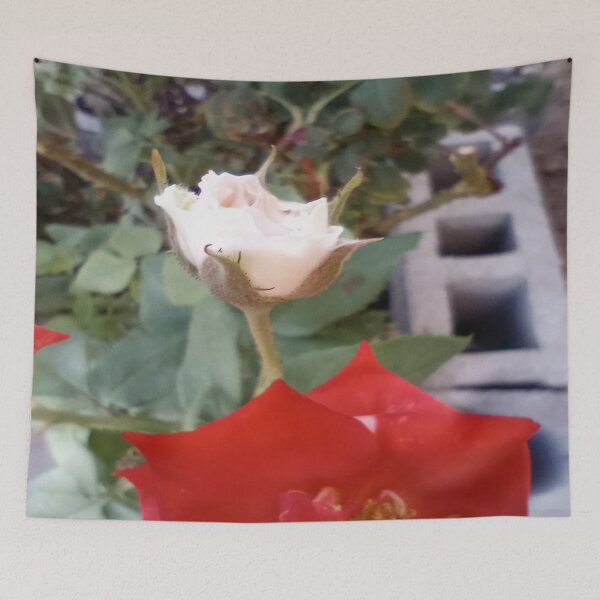 Item preview, Soft white rose designed and sold by DivineTiffany.