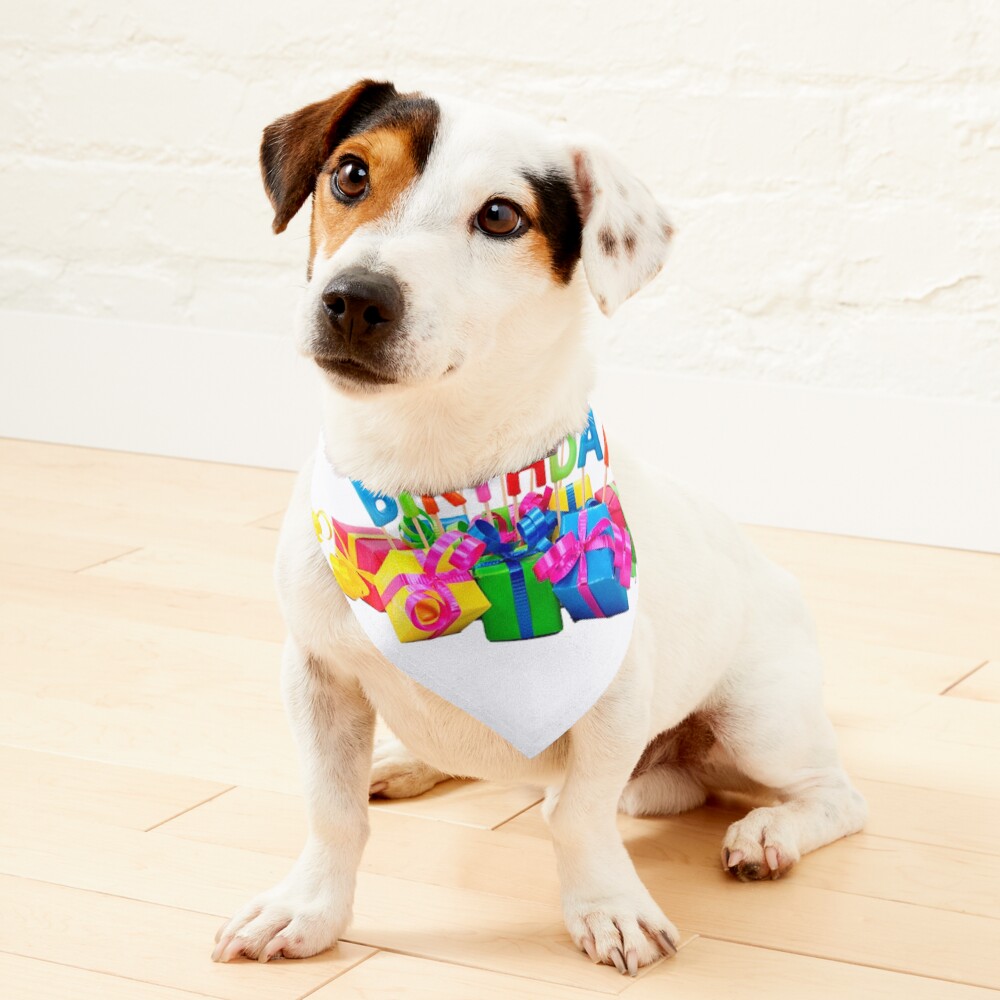 Petco shop dog bandana