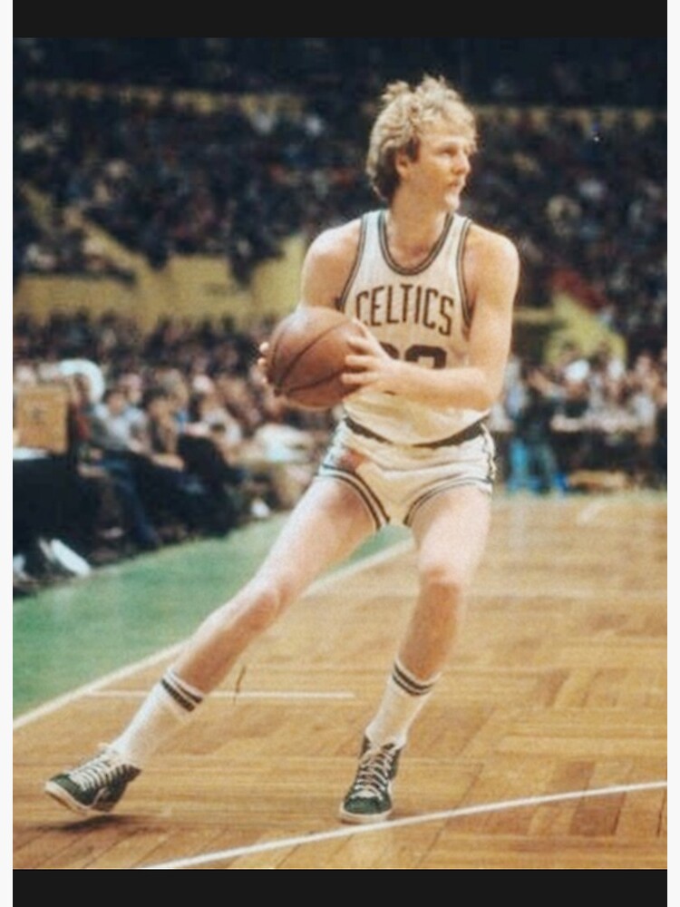 Art Larry Bird Wallpaper | Art Board Print