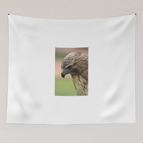 Item preview, Red-tailed Hawk  designed and sold by Alyce Taylor.