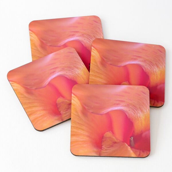 Item preview, Sensuous core of a canna designed and sold by Art in Nature.