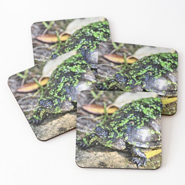 Item preview, Tortoise Time Out designed and sold by Fearless-Fox.