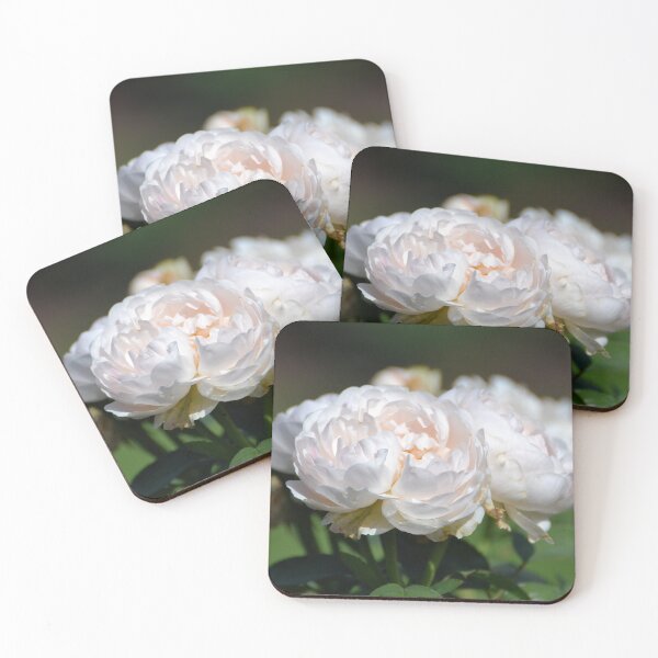 Item preview, Fading Bouquet of Roses designed and sold by Kathleen Brant.