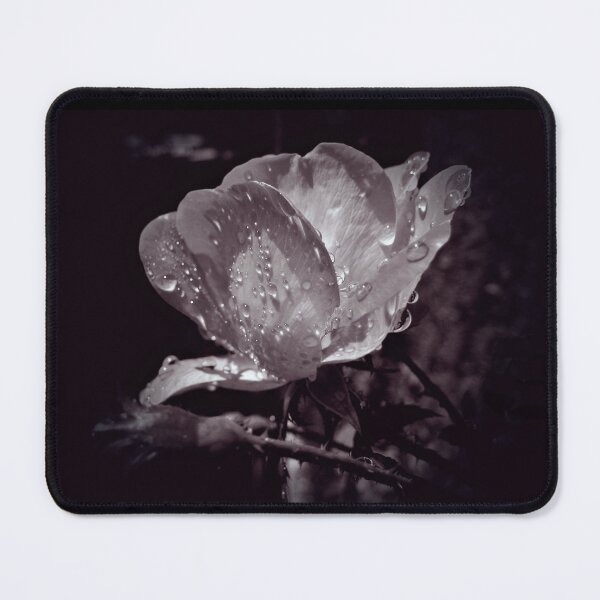 Item preview, Rose designed and sold by Savannah Gibbs.