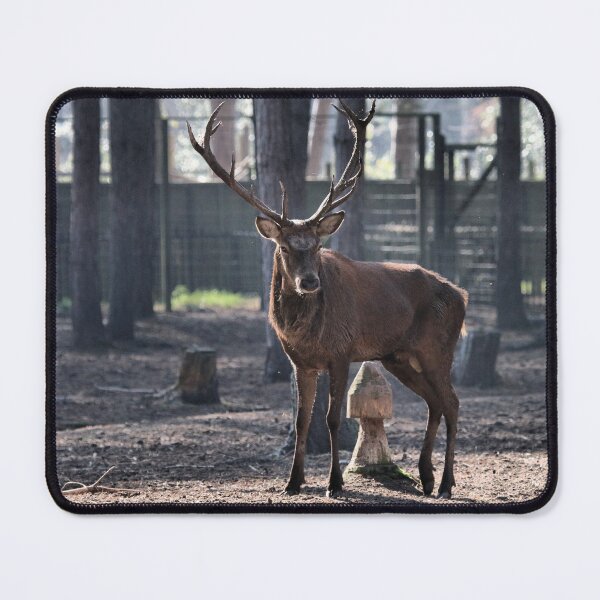 Item preview, Stag Intense Stare designed and sold by Fearless-Fox.