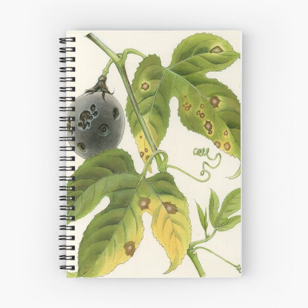 Item preview, Brown Spot of Passionfruit designed and sold by BiosecurityColl.