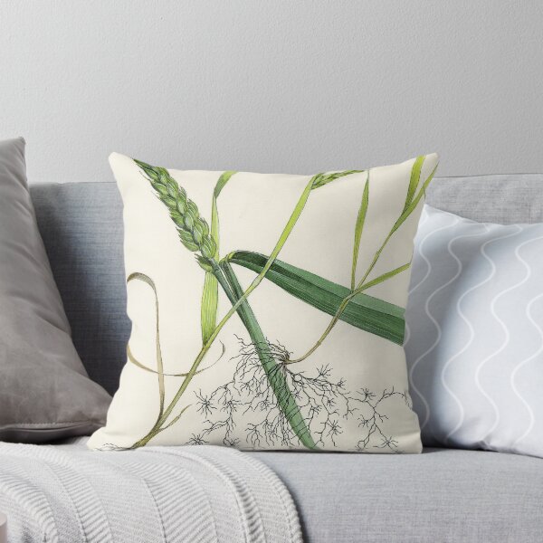 Item preview, Cereal Cyst Nematode designed and sold by BiosecurityColl.