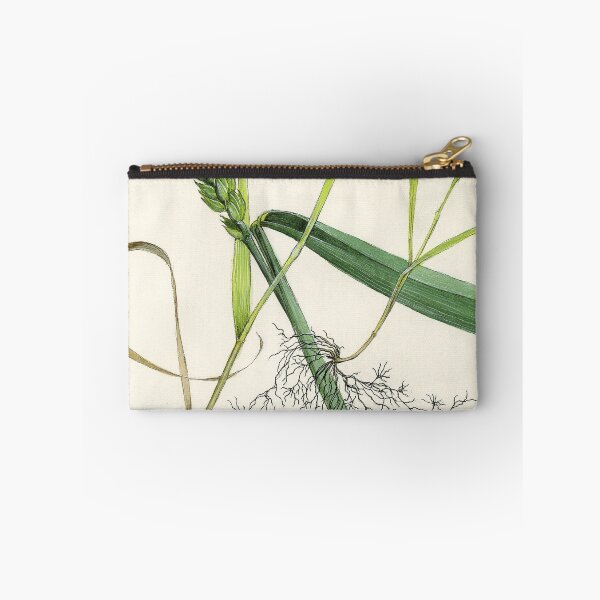 Item preview, Cereal Cyst Nematode designed and sold by BiosecurityColl.