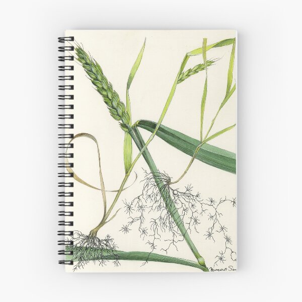 Item preview, Cereal Cyst Nematode designed and sold by BiosecurityColl.