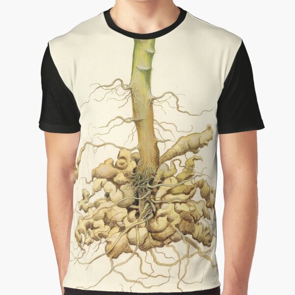Club Root of Crucifers Graphic T-Shirt