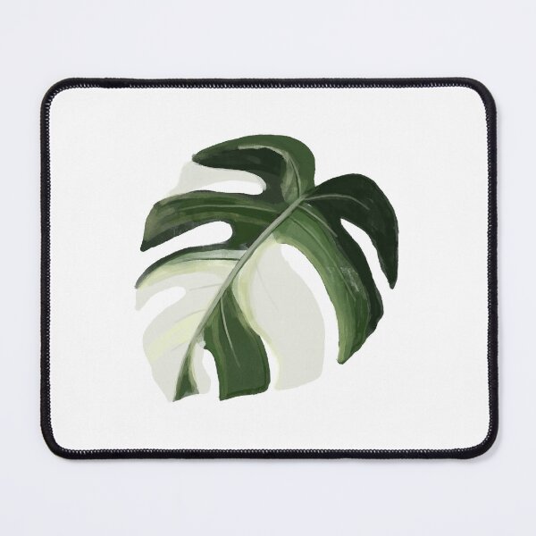 Item preview, Variegated Monstera deliciosa designed and sold by Typical-Turd.