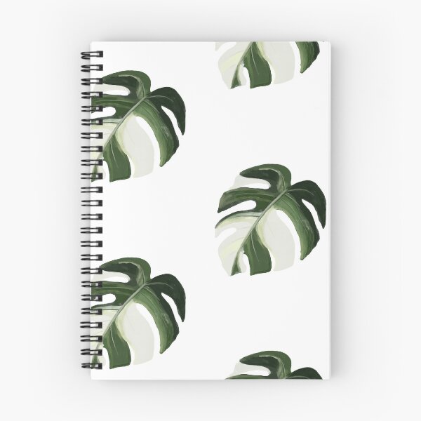 Item preview, Variegated Monstera deliciosa designed and sold by Typical-Turd.