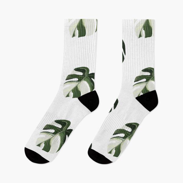 Item preview, Variegated Monstera deliciosa designed and sold by Typical-Turd.