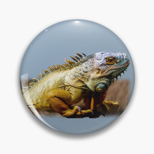 Item preview, Reptile lizard designed and sold by indiafrankk.