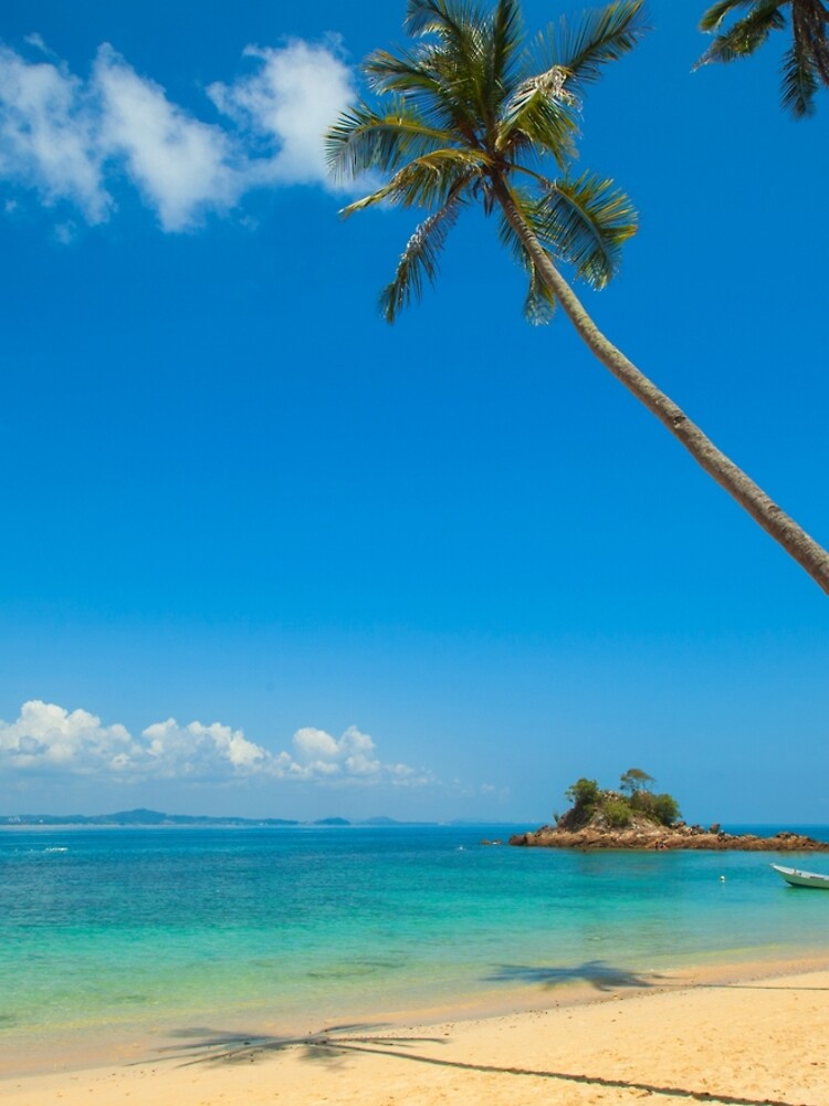 Tropical Palm Trees by TravelDream