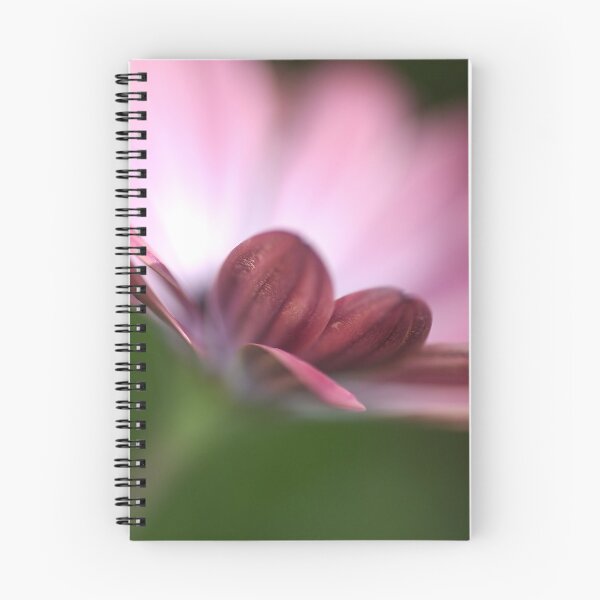 Item preview, Beautiful African Daisy Flower designed and sold by Joy Watson - Natural Light Photography .