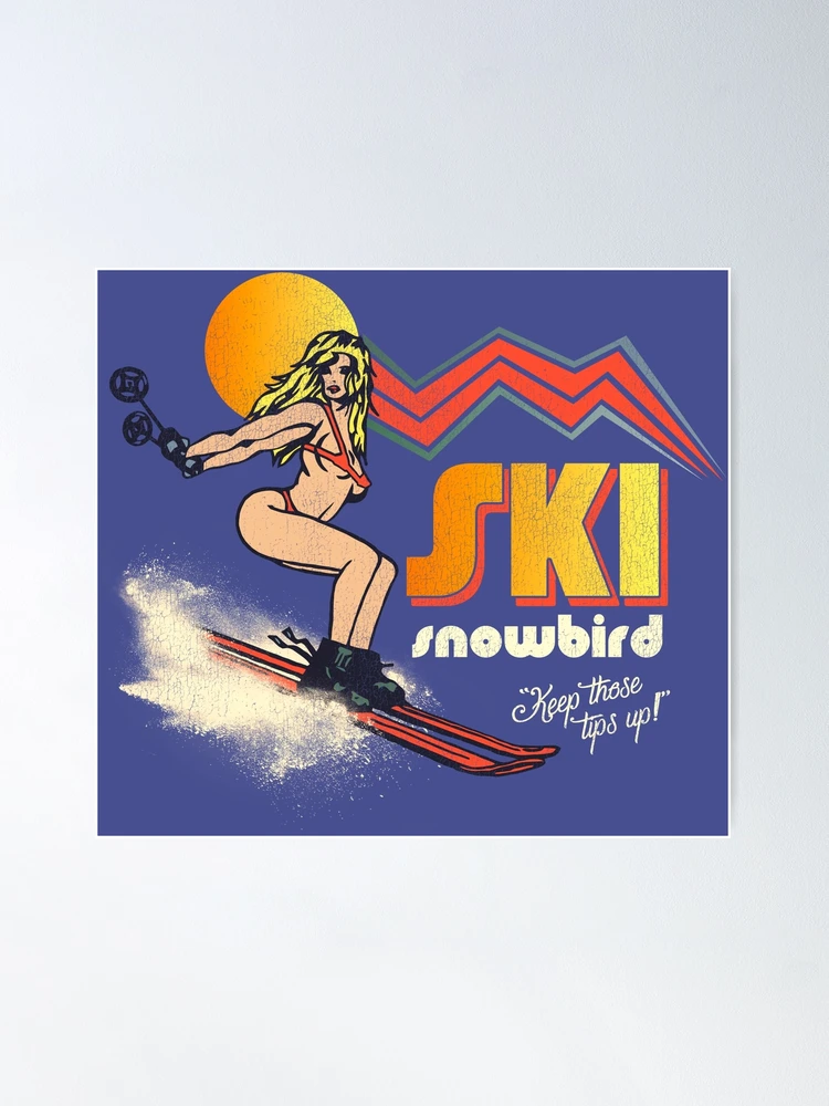 70年代 ビンテージ SKIPOLES＆SKI スキー デザイン ポスター 70年代 ビンテージ SKIPOLES＆SKI スキー デザイン ポスター