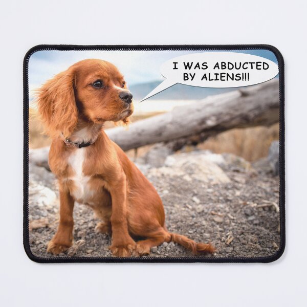 Item preview, Puppy Dog Abducted by Aliens designed and sold by johns-stickerss.