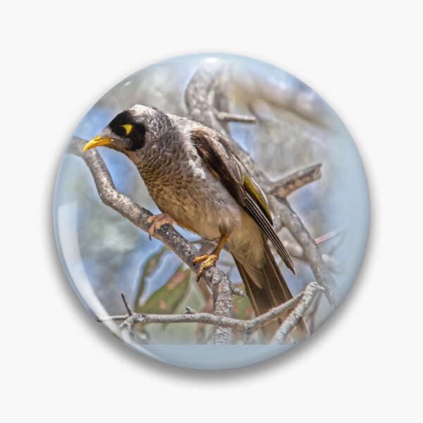 Item preview, Noisy Miner designed and sold by indiafrankk.