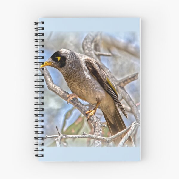 Item preview, Noisy Miner designed and sold by indiafrankk.