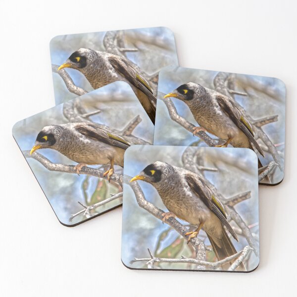 Item preview, Noisy Miner designed and sold by indiafrankk.