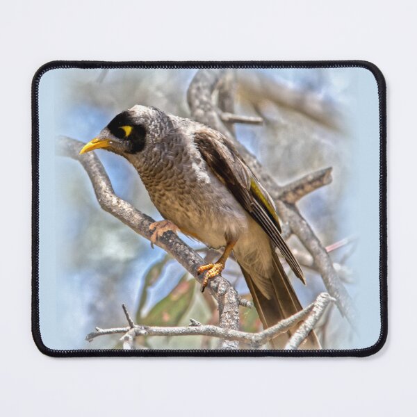 Item preview, Noisy Miner designed and sold by indiafrankk.