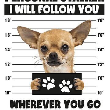 Funny chihuahua shops sayings