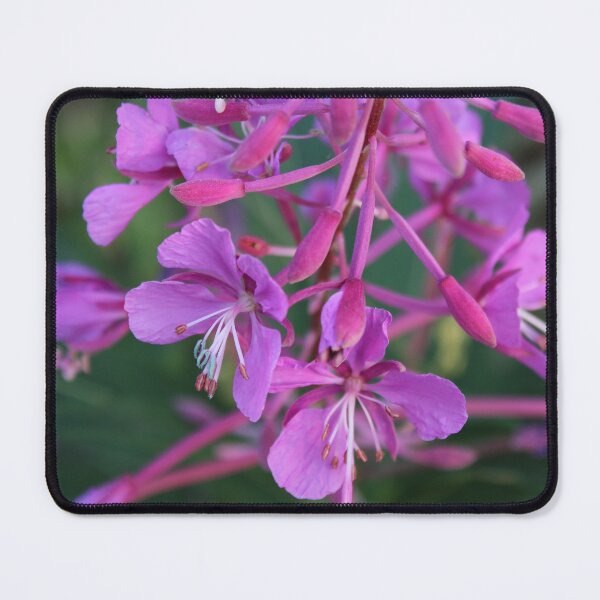 Item preview, Alaskan Fireweed designed and sold by jenstever.