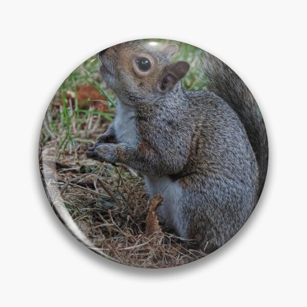 Item preview, Eastern Gray Squirrel (Sciurus carolinensis) designed and sold by Marilyn Harris.