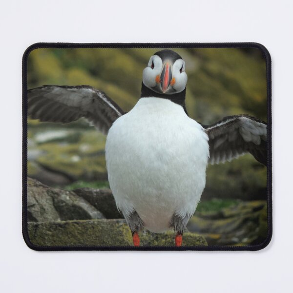 Item preview, Puffin - Farne Island, Northumbria designed and sold by Marilyn Harris.