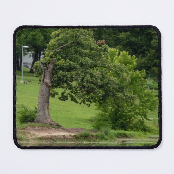 Item preview, Tree Over Water designed and sold by Carly-Chapman.