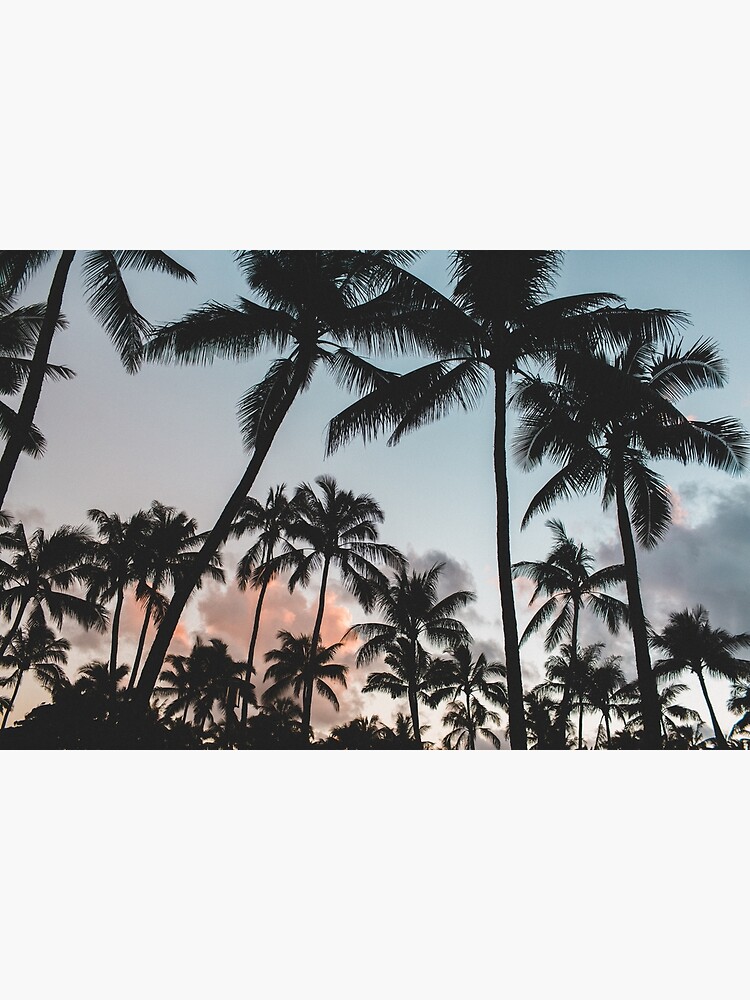 Pacific Palms by TravelDream