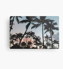 Pacific Palms Metal Print