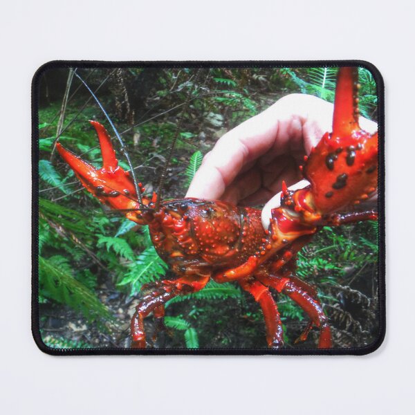 Item preview, Freshwater Crayfish - Claustral Canyon designed and sold by Marilyn Harris.