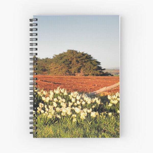 Item preview, First light near Devonport, Tasmania, Australia. designed and sold by kaysharp.