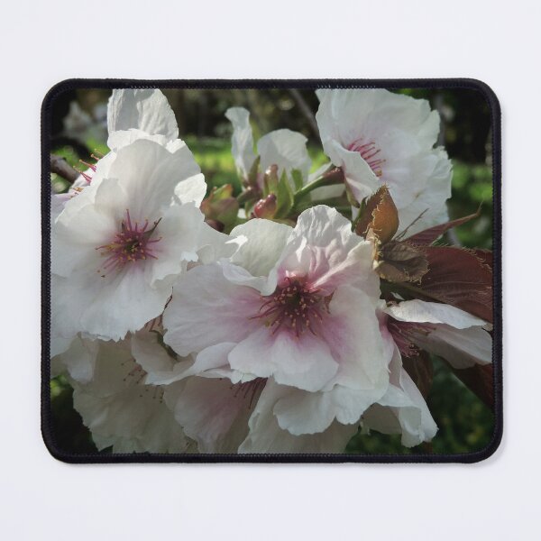 Item preview, Filtered Light on Spring Blossoms designed and sold by Marilyn Harris.