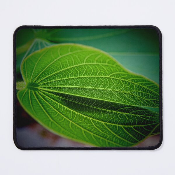 Item preview, Textured Leaf - Patterns of Nature designed and sold by Marilyn Harris.