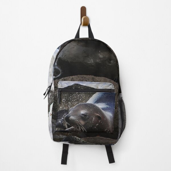 Item preview, Young Sea Lion at La Jolla Cove designed and sold by heatherfriedman.