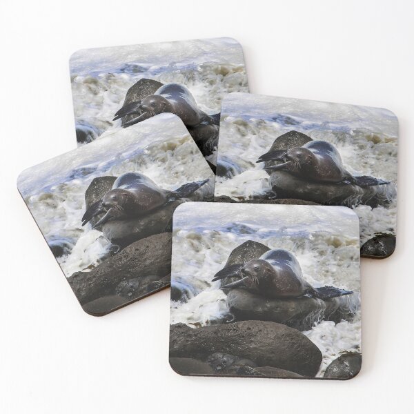 Item preview, Young Sea Lion at La Jolla Cove  designed and sold by heatherfriedman.