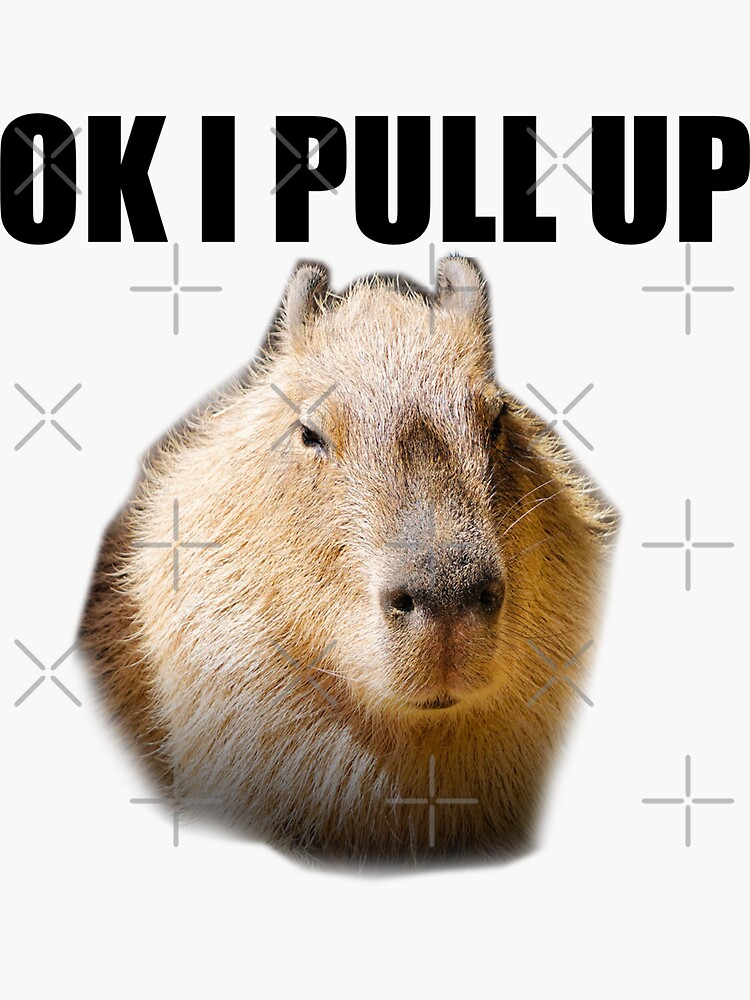 "Ok I Pull Up Capybara " Sticker for Sale by NNNostalgia | Redbubble