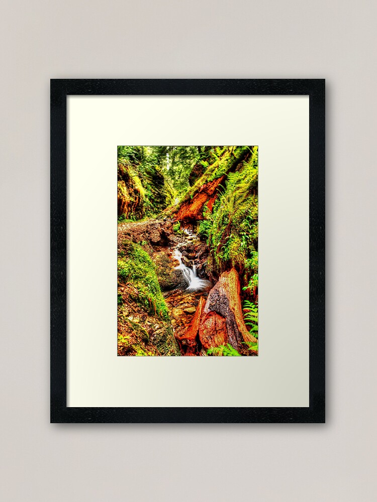 Alternate view of Fairy Forest Framed Art Print