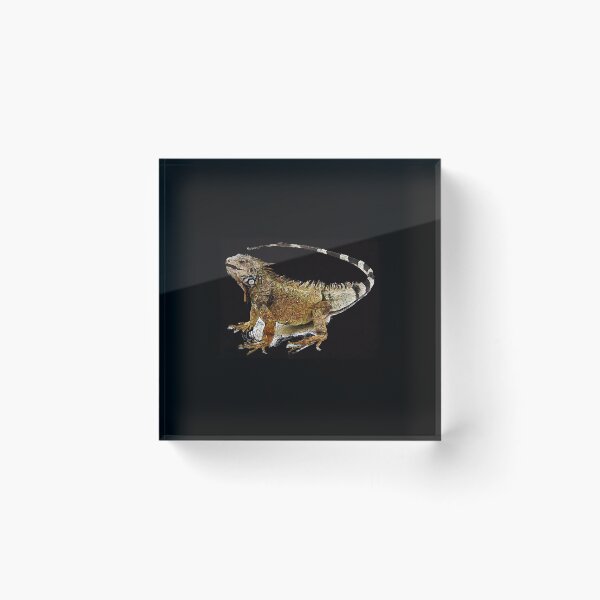 Item preview, iguana  designed and sold by JanetDiaz93774.